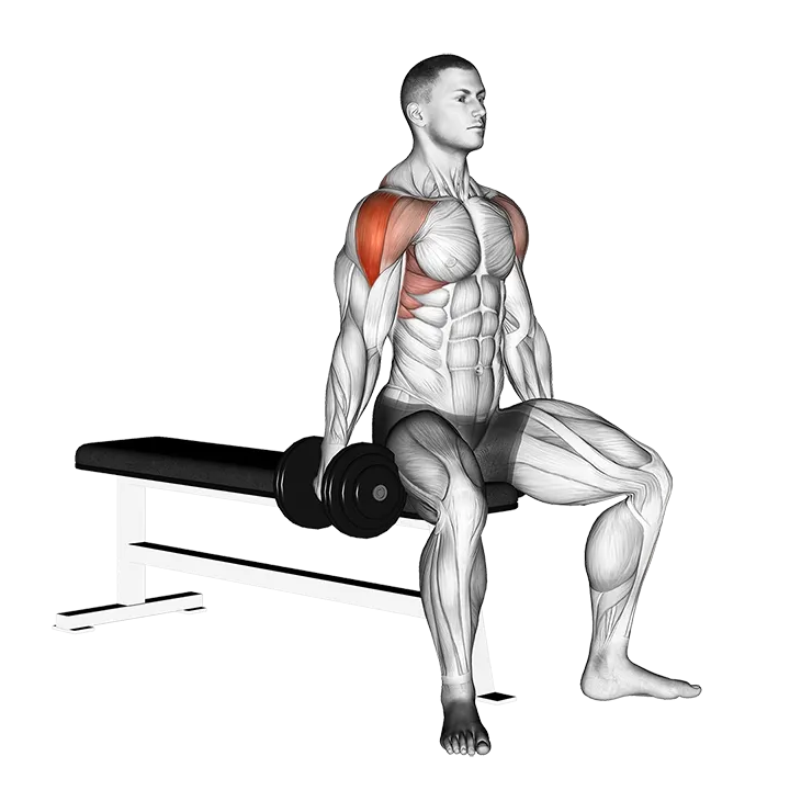 Dumbbell Seated Lateral Raise exercise animation (Hombre)