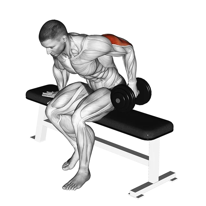 Dumbbell Seated One Arm Kickback exercise animation (Male)