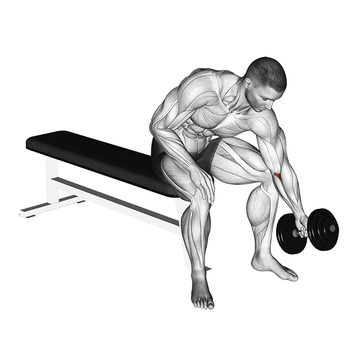 Dumbbell Seated One Arm Rotate exercise animation (Male)