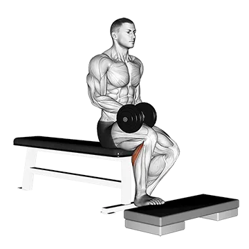 Dumbbell Seated One Leg Calf Raise