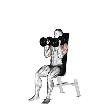 Dumbbell Seated Shoulder Press (parallel grip)