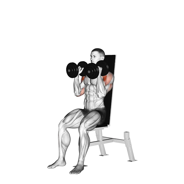 Dumbbell Seated Shoulder Press (parallel grip) exercise animation (Male)