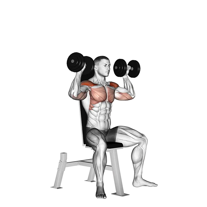 Dumbbell Seated Shoulder Press exercise animation (Male)