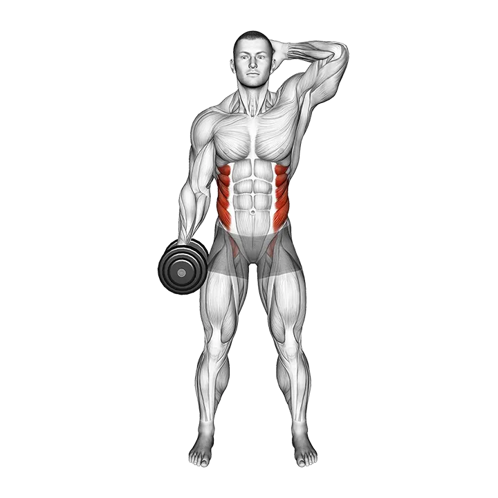 Dumbbell Side Bend exercise animation (Male)