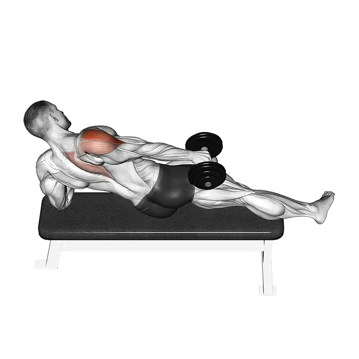 Dumbbell Side Lying One Hand Raise exercise animation (Hombre)