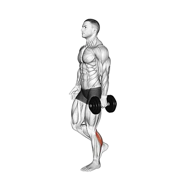 Dumbbell Single Leg Calf Raise
