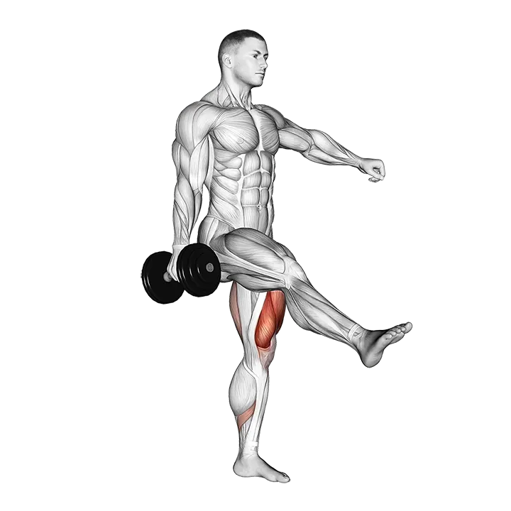 Dumbbell Single Leg Squat exercise animation (Male)