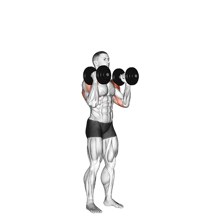 Dumbbell Standing Alternate Overhead Press exercise animation (Male)