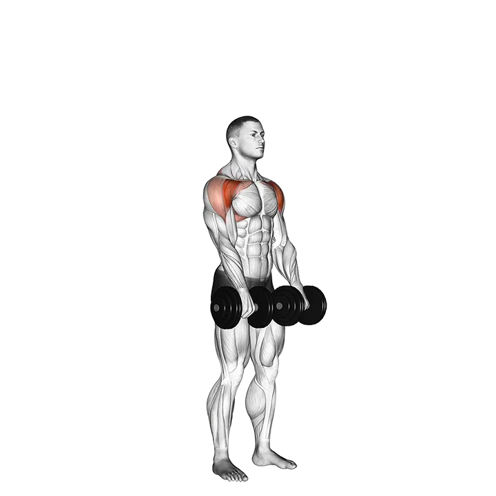 Dumbbell Standing Front Raise Above Head exercise animation (Male)