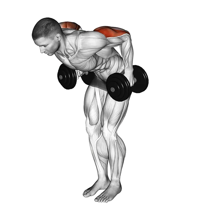 Dumbbell Standing Kickback exercise animation (Male)