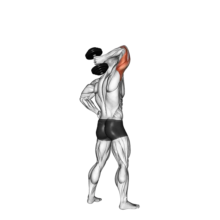 Dumbbell Standing One Arm Extension exercise animation (Male)
