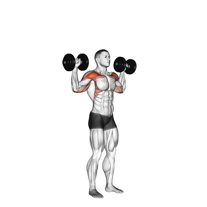 Dumbbell Standing Overhead Press exercise animation (Male)