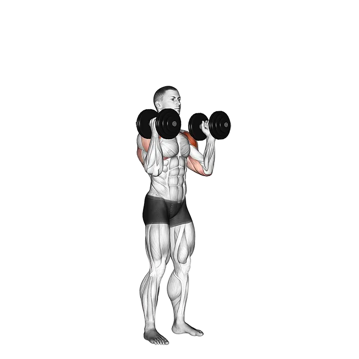 Dumbbell Standing Palms In Press exercise animation (Male)