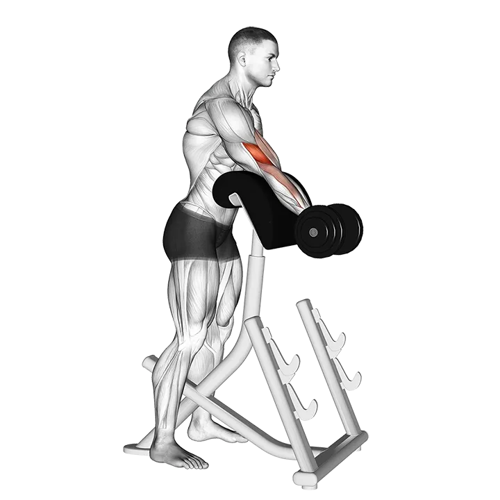 Dumbbell Standing Preacher Curl exercise animation (Hombre)