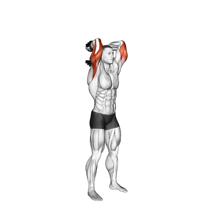 Dumbbell Standing Triceps Extension exercise animation (Male)