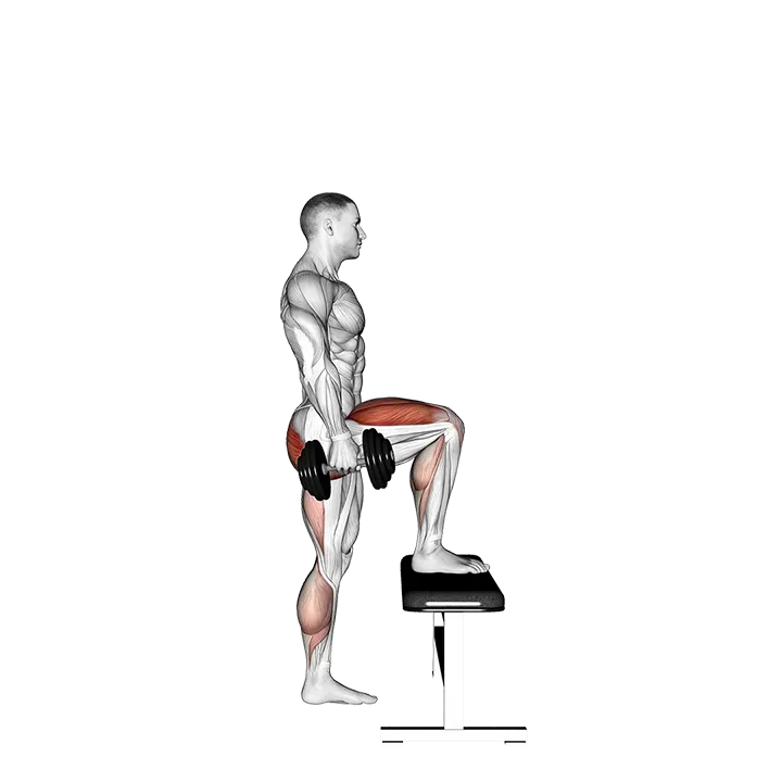 Dumbbell Step-up exercise animation (Male)