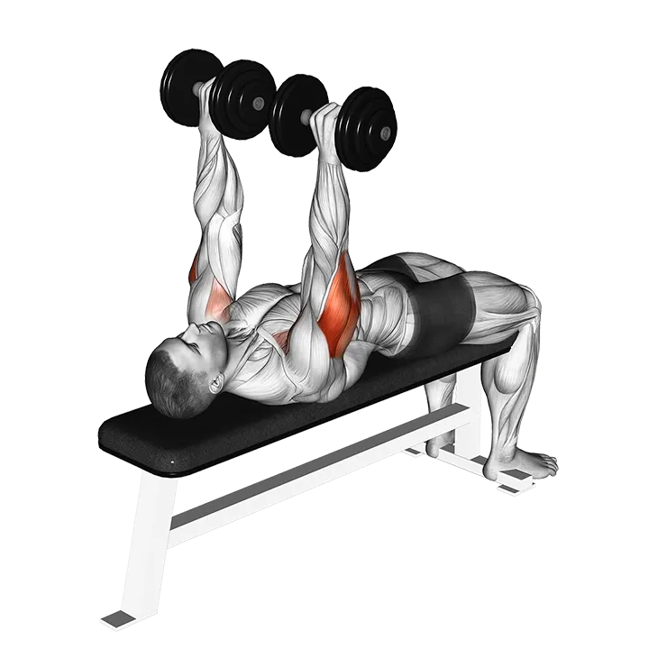 Dumbbell Tate Press exercise animation (Male)