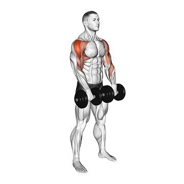 Dumbbell Upright Row