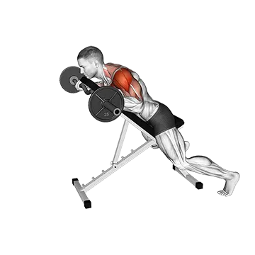 EZ Barbell Anti Gravity Press