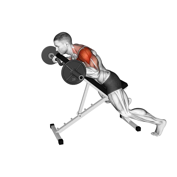 EZ Barbell Anti Gravity Press exercise animation (Male)