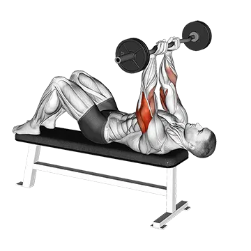 EZ Barbell Decline Close grip Face Press