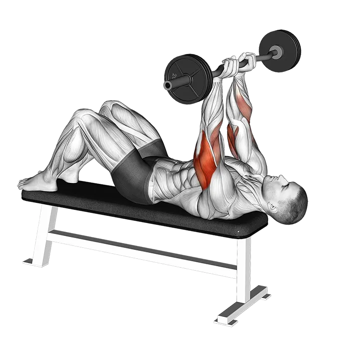 EZ Barbell Decline Close grip Face Press exercise animation (Male)