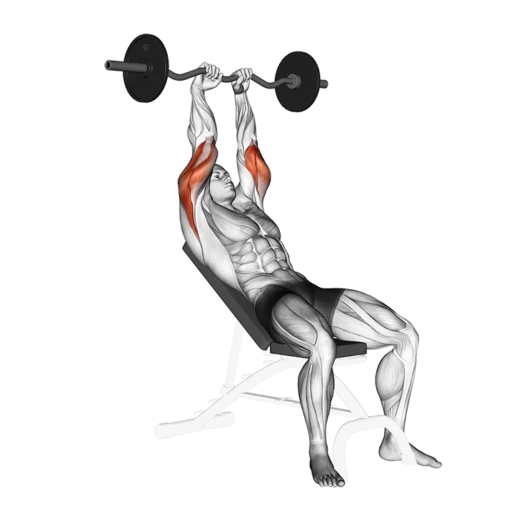 EZ Barbell Incline Triceps Extension exercise animation (Male)