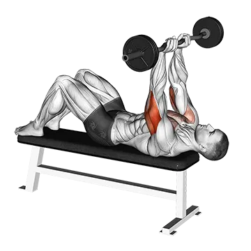 EZ Barbell JM Bench Press
