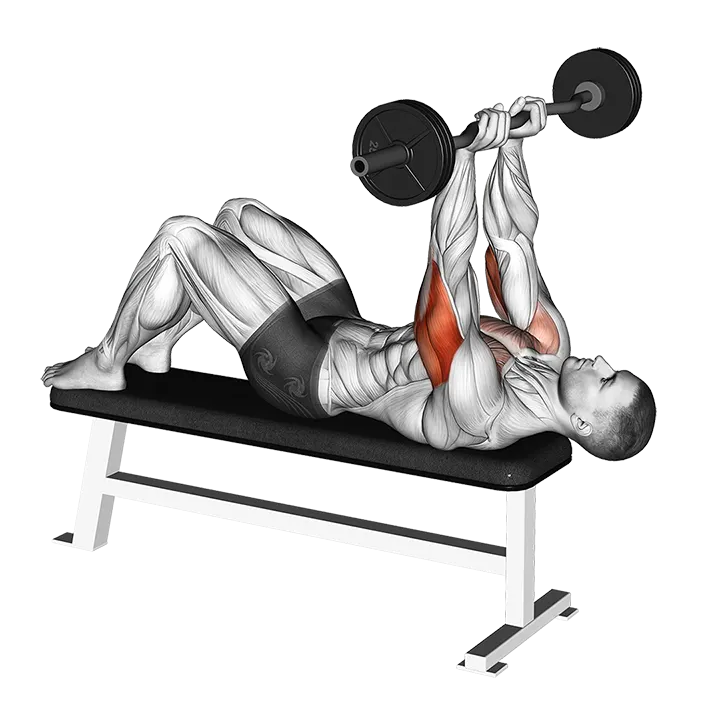EZ Barbell JM Bench Press exercise animation (Male)