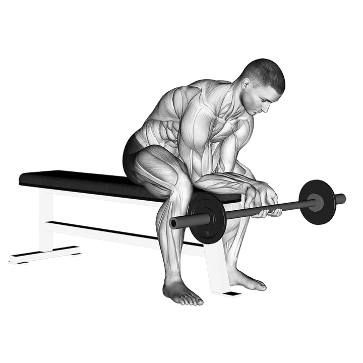 Finger Curls exercise animation (Male)