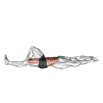 Flexion Leg Sit up (bent knee)
