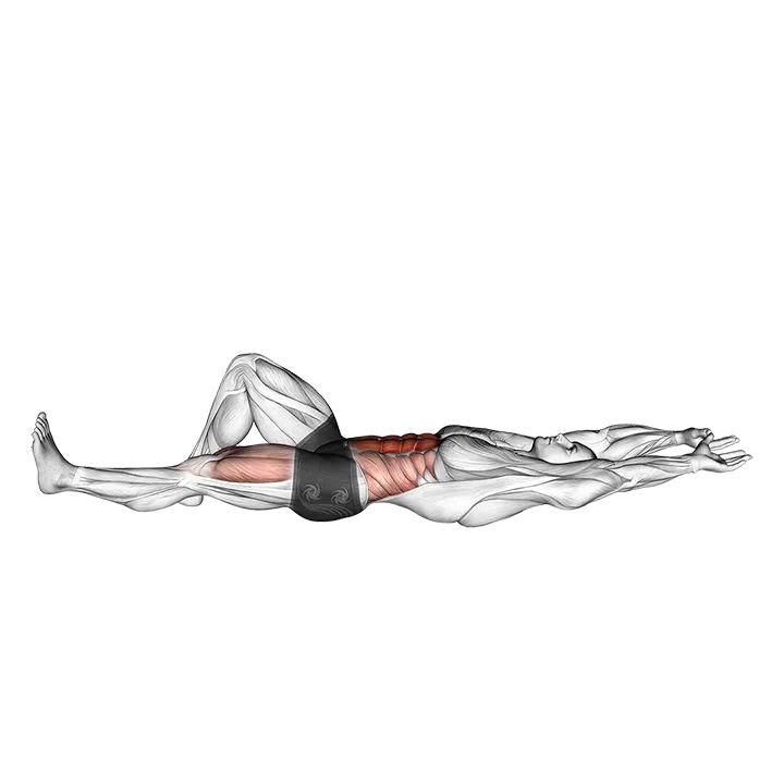 Flexion Leg Sit up (bent knee) exercise animation (Male)