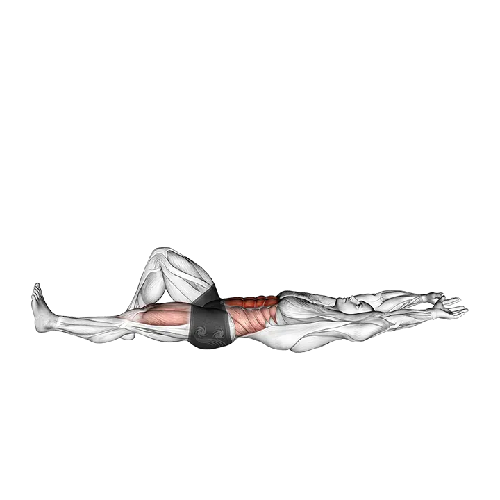 Flexion Leg Sit up (straight arm) exercise animation (Male)