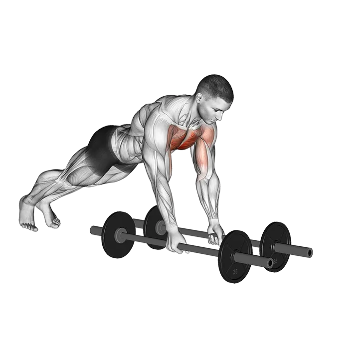 Floor Fly (with barbell) exercise animation (Male)