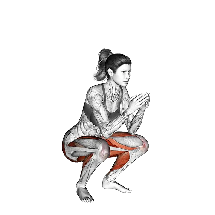 Frog Squat exercise animation (Female)