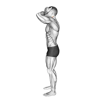 Front and Back Neck Stretch