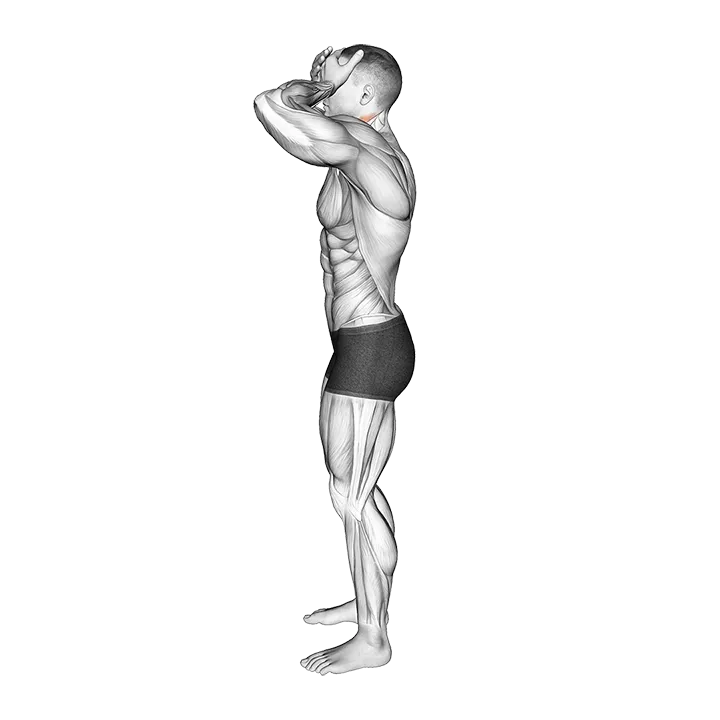 Front and Back Neck Stretch exercise animation (Male)