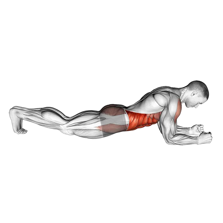 Front Plank exercise animation (Male)