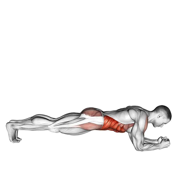 Front Plank with Twist exercise animation (Hombre)