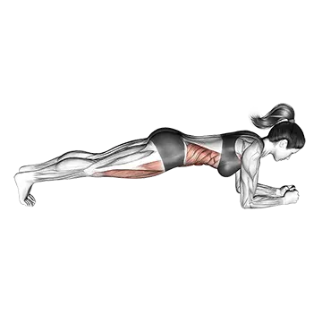 Front Plank
