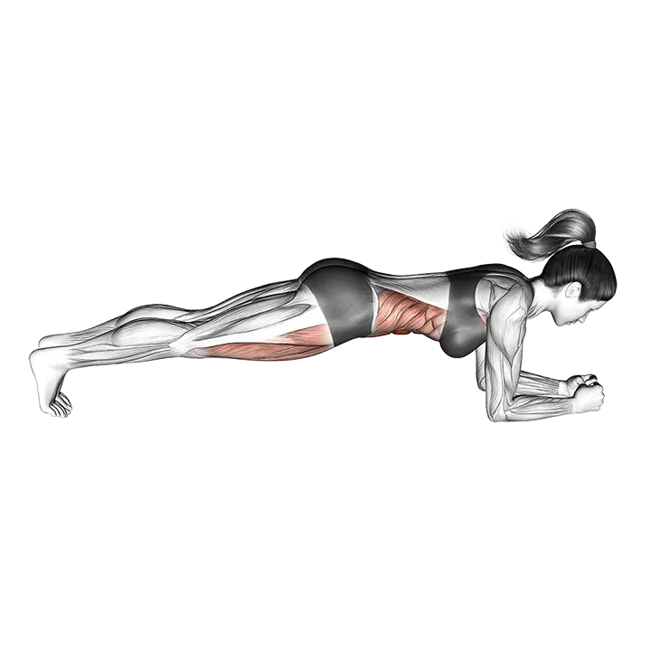 Front Plank exercise animation (Female)