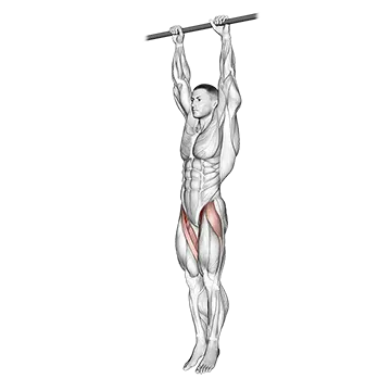 Hanging Leg Raise