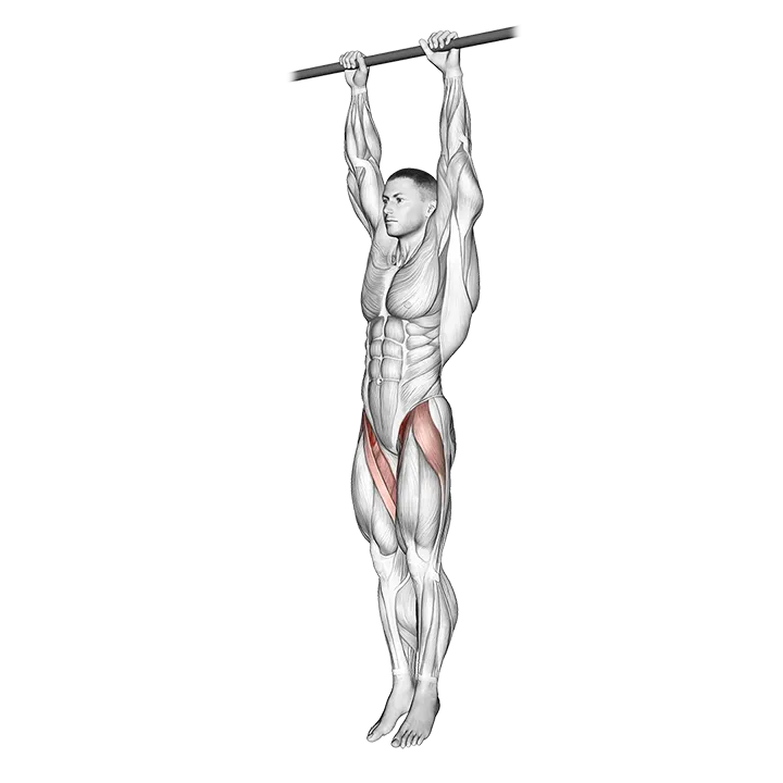 Hanging Leg Raise exercise animation (Male)