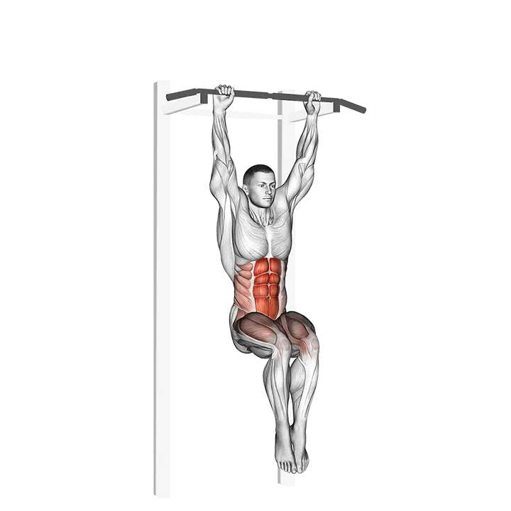 Hanging Pike exercise animation (Male)