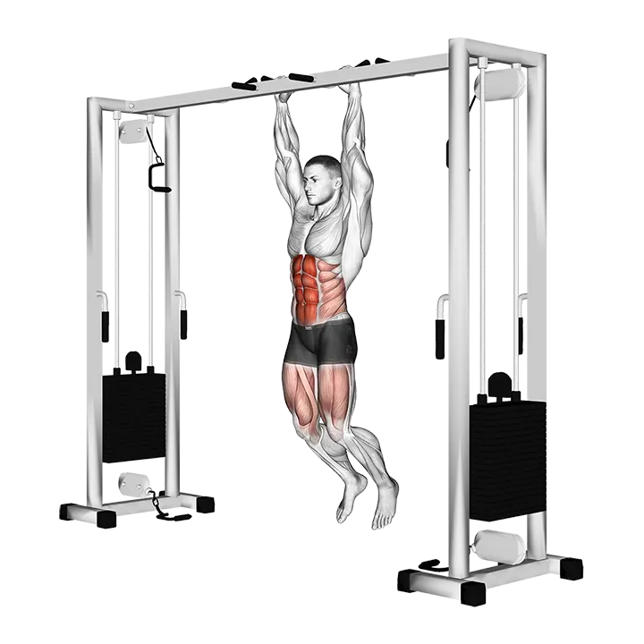 Hanging Straight Leg Hip Raise exercise animation (Male)