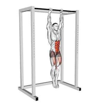 Hanging Straight Leg Raise