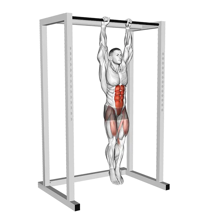 Hanging Straight Leg Raise exercise animation (Hombre)