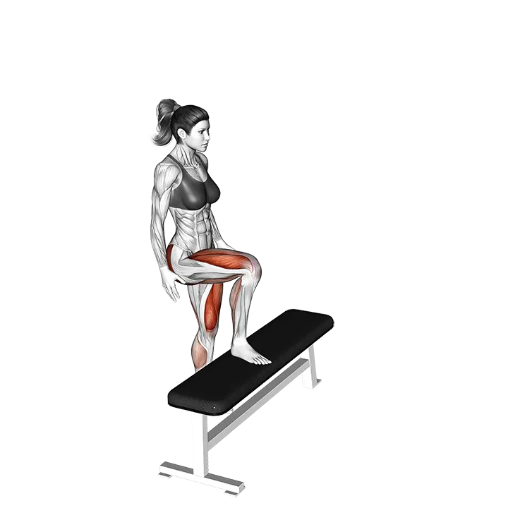 High Knee Step-up exercise animation (Female)