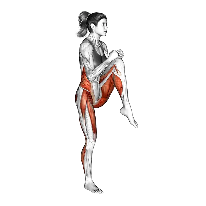 High Knee Twist exercise animation (Female)