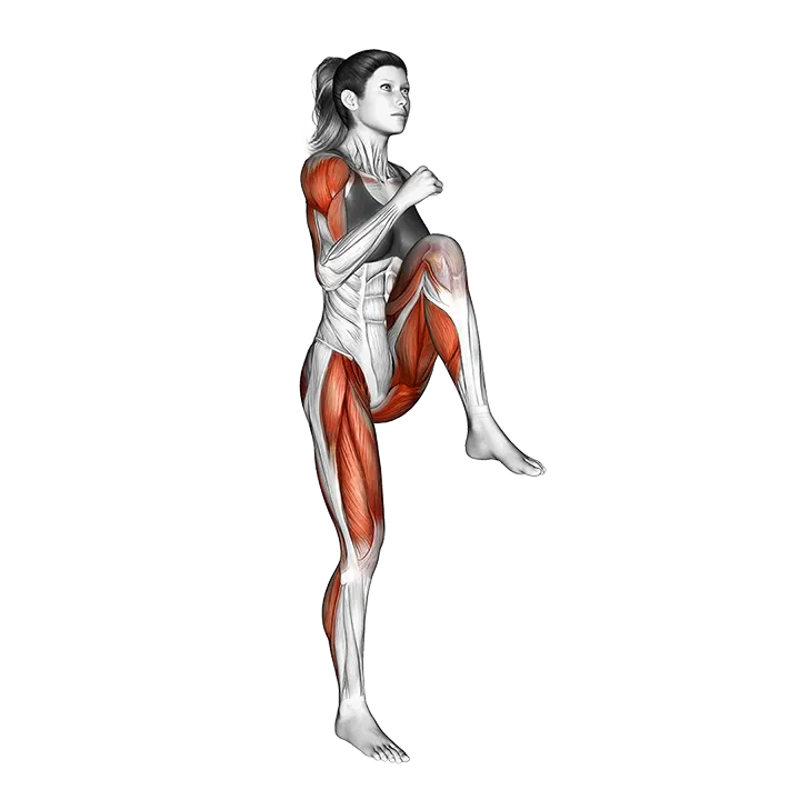 High knees butt kicks exercise animation (Female)